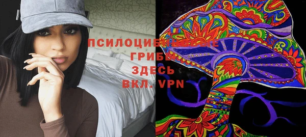 прущая мука Армянск