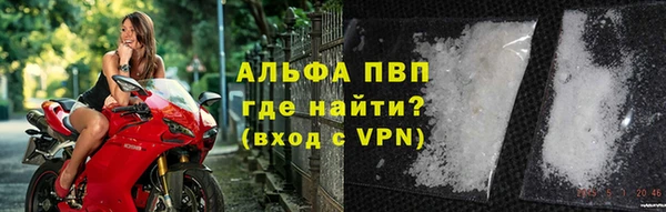 a pvp Аркадак