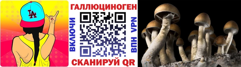 MEGA зеркало  Оханск  Псилоцибиновые грибы Magic Shrooms 